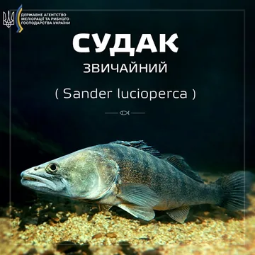Судак