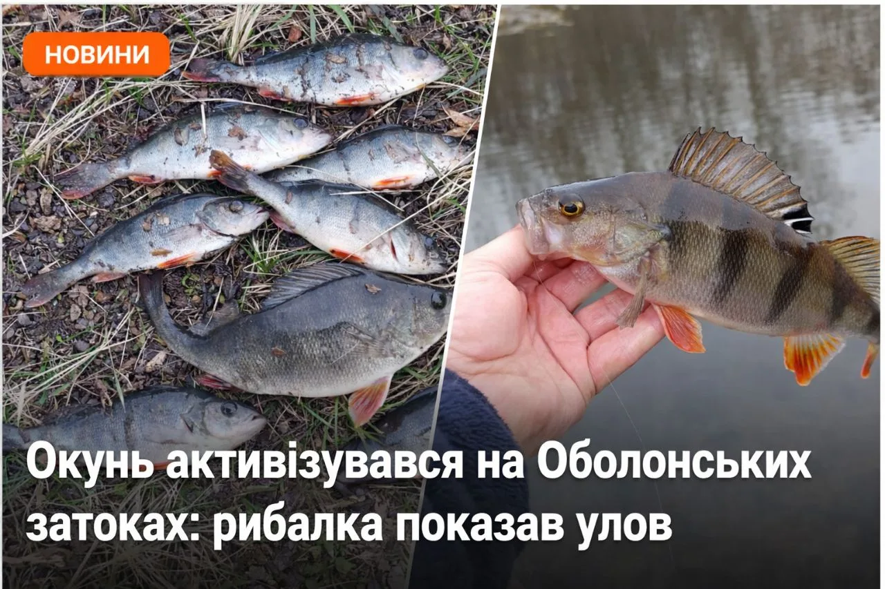 Rybalka Club · Редакція