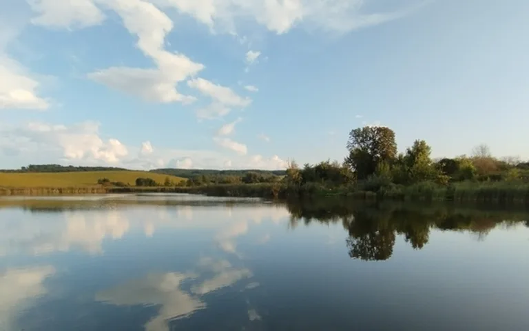 Ставок у селі Циків («Курник») 
