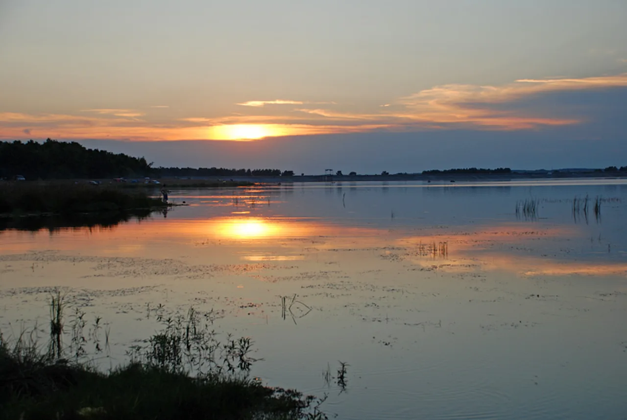 Водосховище Оселя: від платного ставка до дикої риболовлі