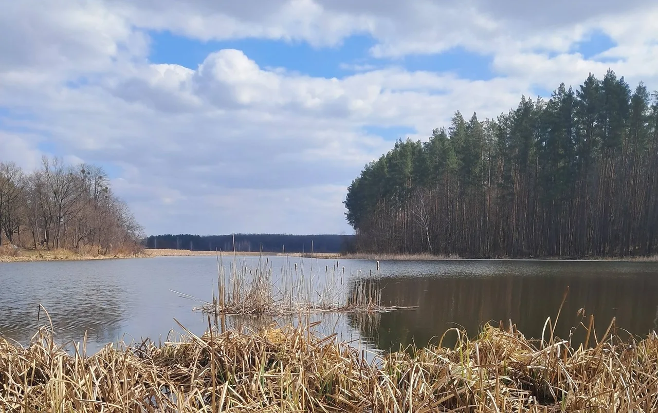 Риболовля в Корчаку (річка Тетерів, Житомирська область)