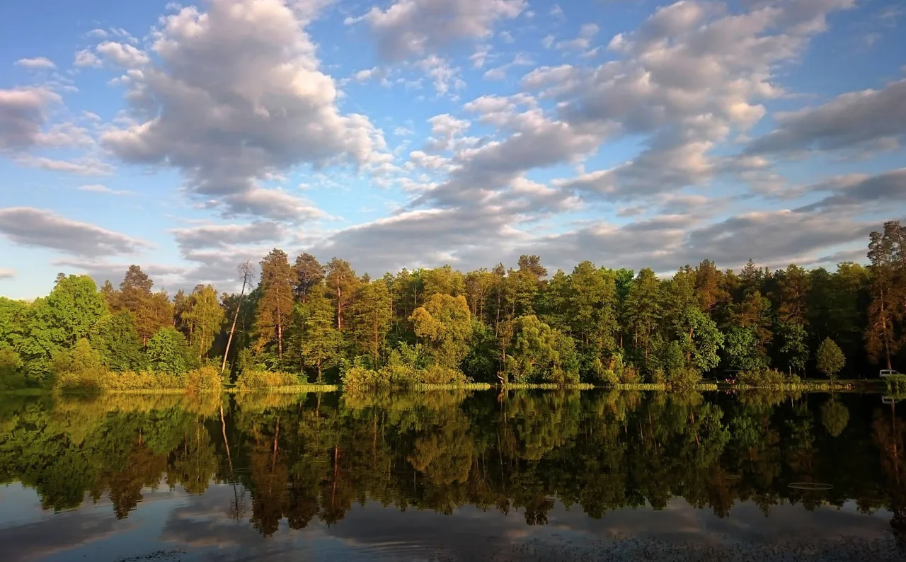 Риболовля на озері Лісове, Київ