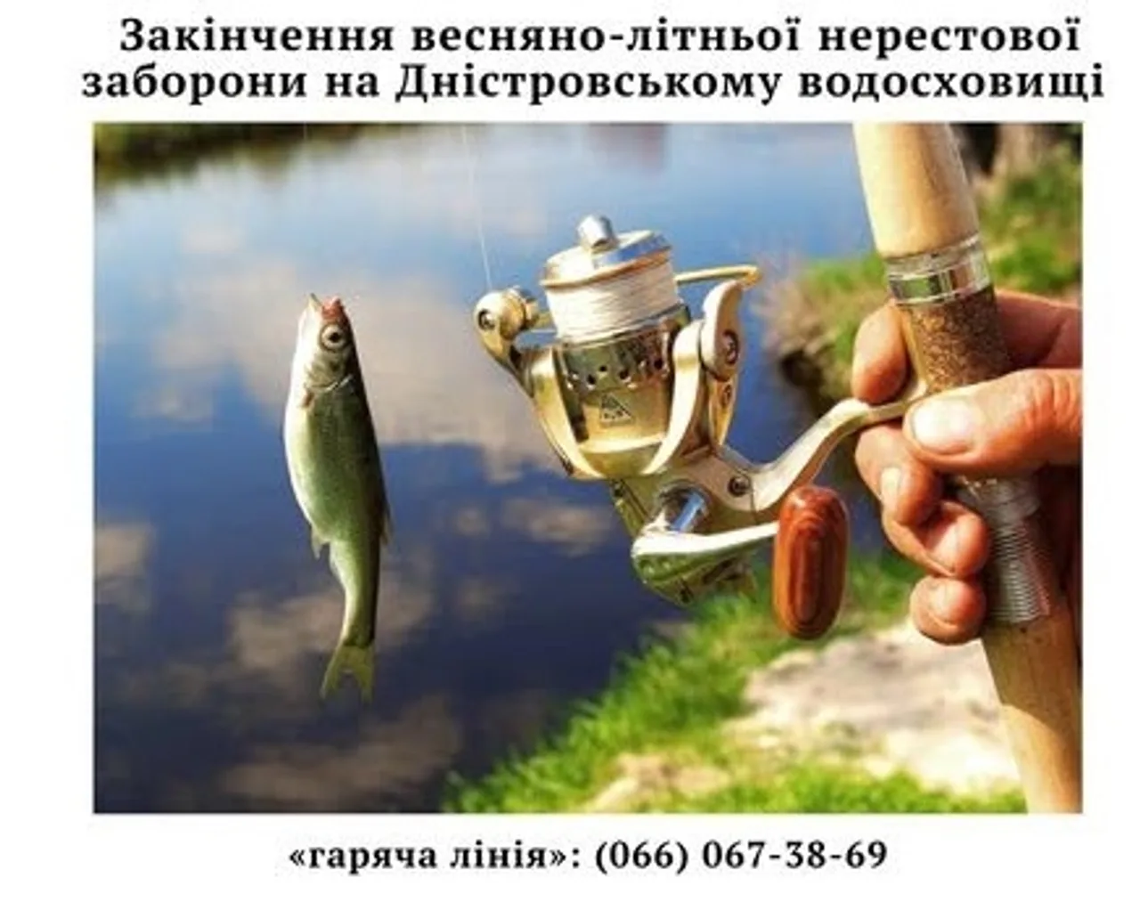 Rybalka Club · Редакція