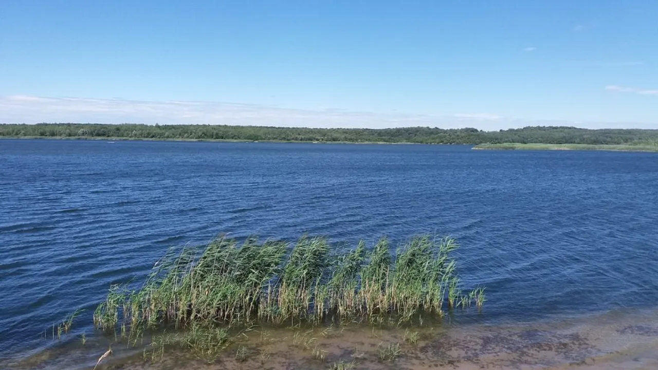 Рибалка біля Львова