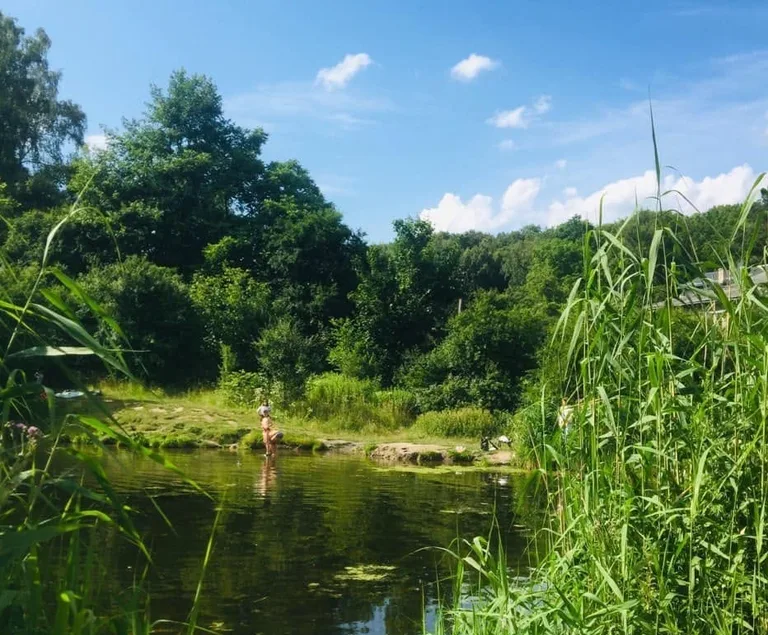 Лісове озеро Клепарів («Холодне») 