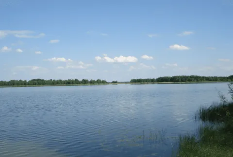 Рибалка біля Ковеля