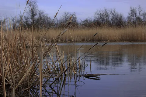 Озеро Погоріле в Одеській області: риболовля та особливості водойми