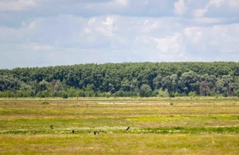 Озеро Коропська стариця на Десні
