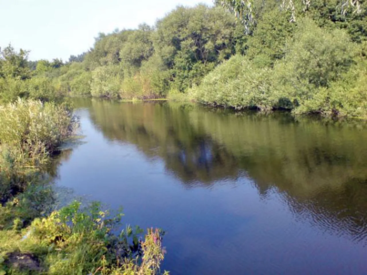 Риболовля на річці Корчик біля Сторожева 