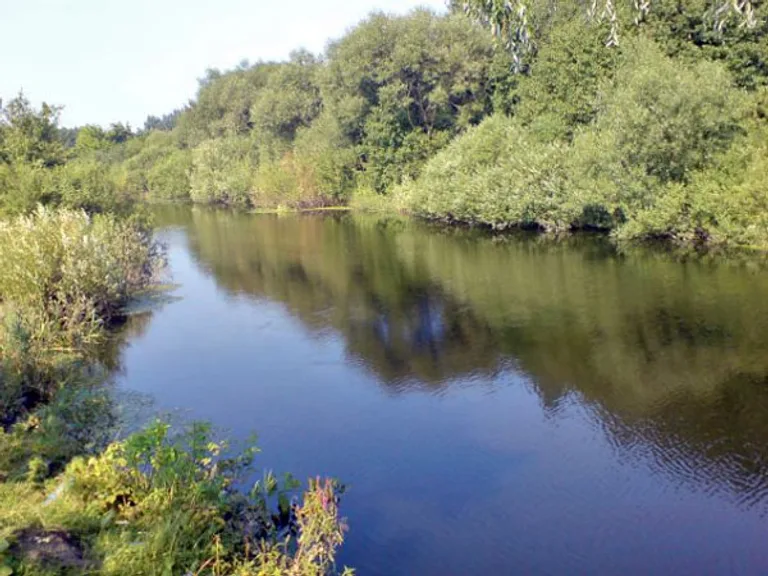 Риболовля на річці Корчик біля Сторожева 