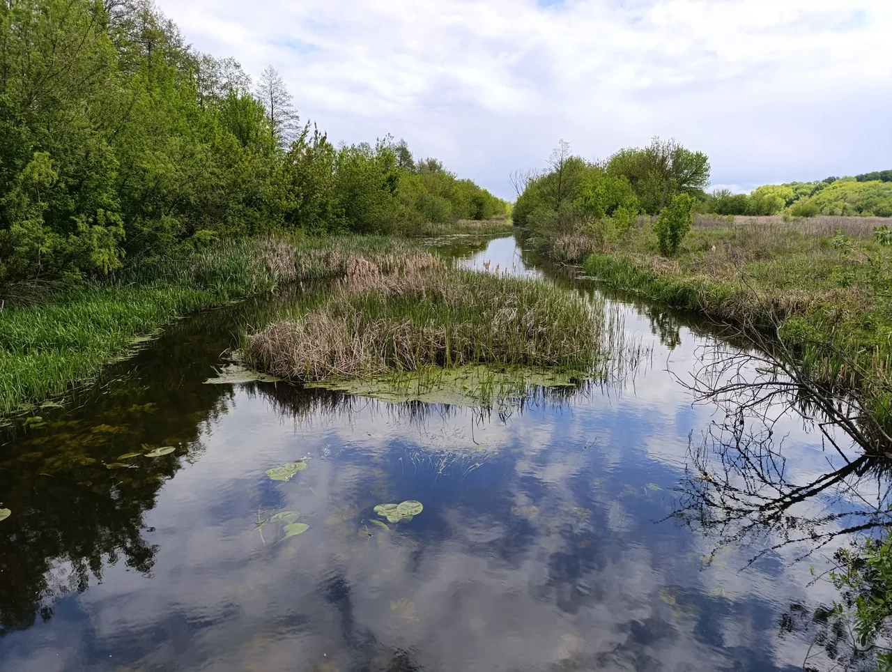 Риболовля в Талалаївці на річці Ромен