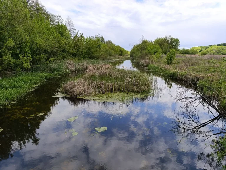 Риболовля в Талалаївці на річці Ромен