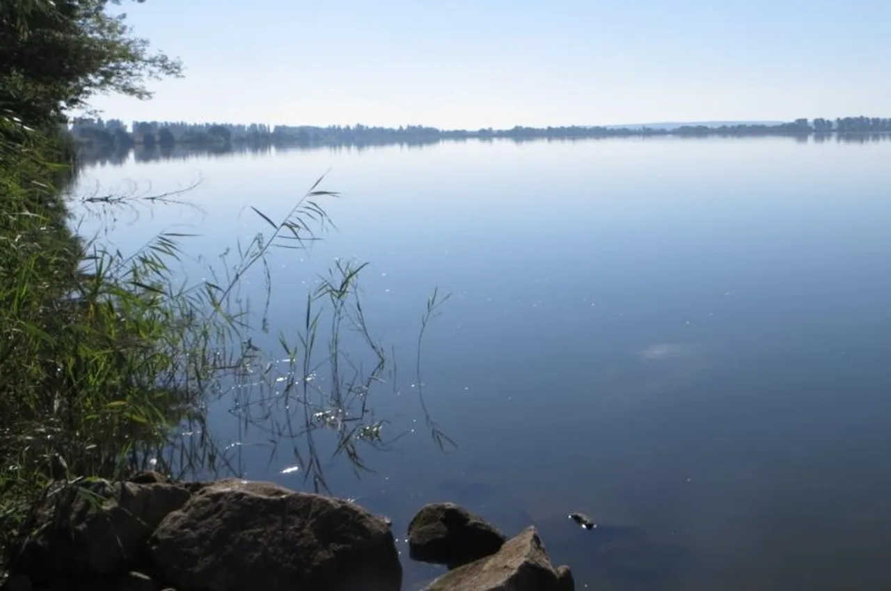 Косівське водосховище: риболовля на верхів'ї Росі