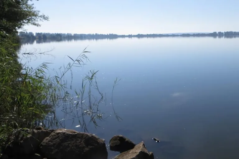 Косівське водосховище: риболовля на верхів'ї Росі