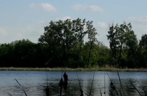 Озеро Млиновище (Земснаряд) у Чернігові: риболовля та особливості водойми