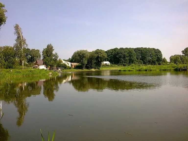 Бармацький став біля Рівного
