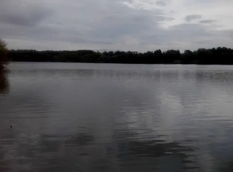  Івано-Шийчинське водосховище — риболовля на Харьківщині