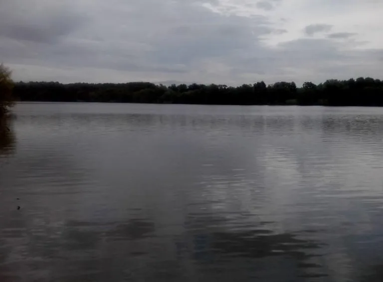  Івано-Шийчинське водосховище — риболовля на Харьківщині