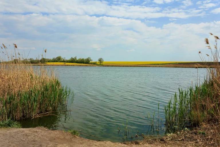 Красінське водосховище: риболовля  та туризм