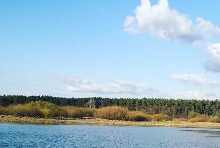Красне озеро (Красна Тоня) на Чернігівщині