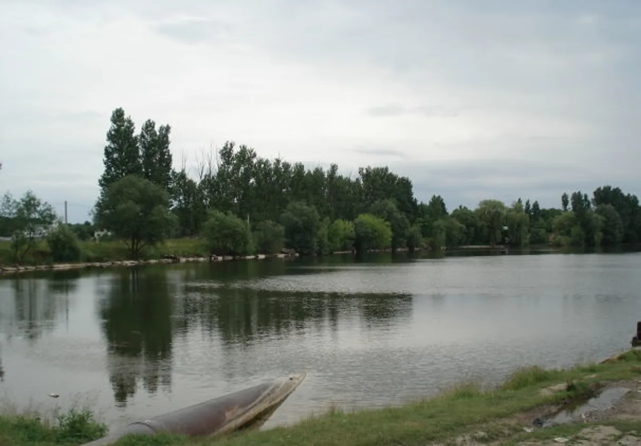 Мар'янівське водосховище: карась і короп біля цукрового заводу