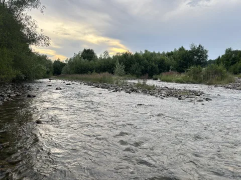Бистриця Солотвинська — риболовля, риба, водоспади Ґорґан