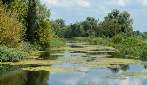 Риболовля в Борисполі: водойми, риба, найкращі місця та поради