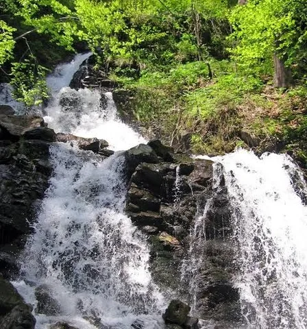 Потік Ільмен (с. Білин, Рахівщина, Закарпаття) — форелева водойма Карпат